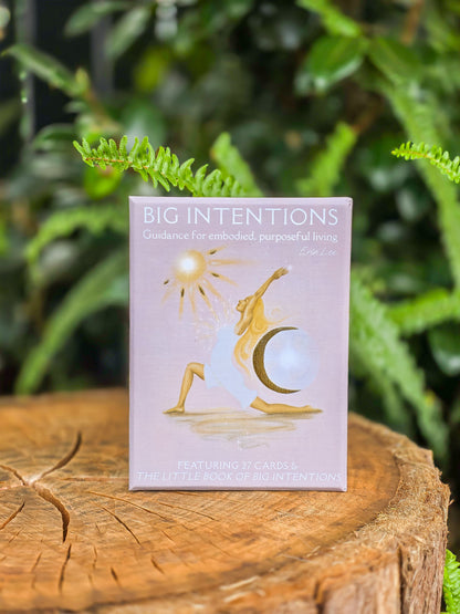 Big Intentions | Guidance for Embodied, Purposeful Living