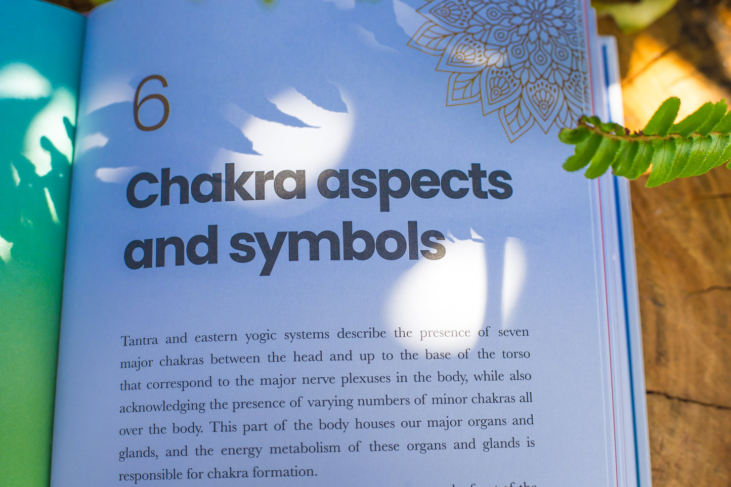 Chakras | Journey Through The Energy Centres of Your Body