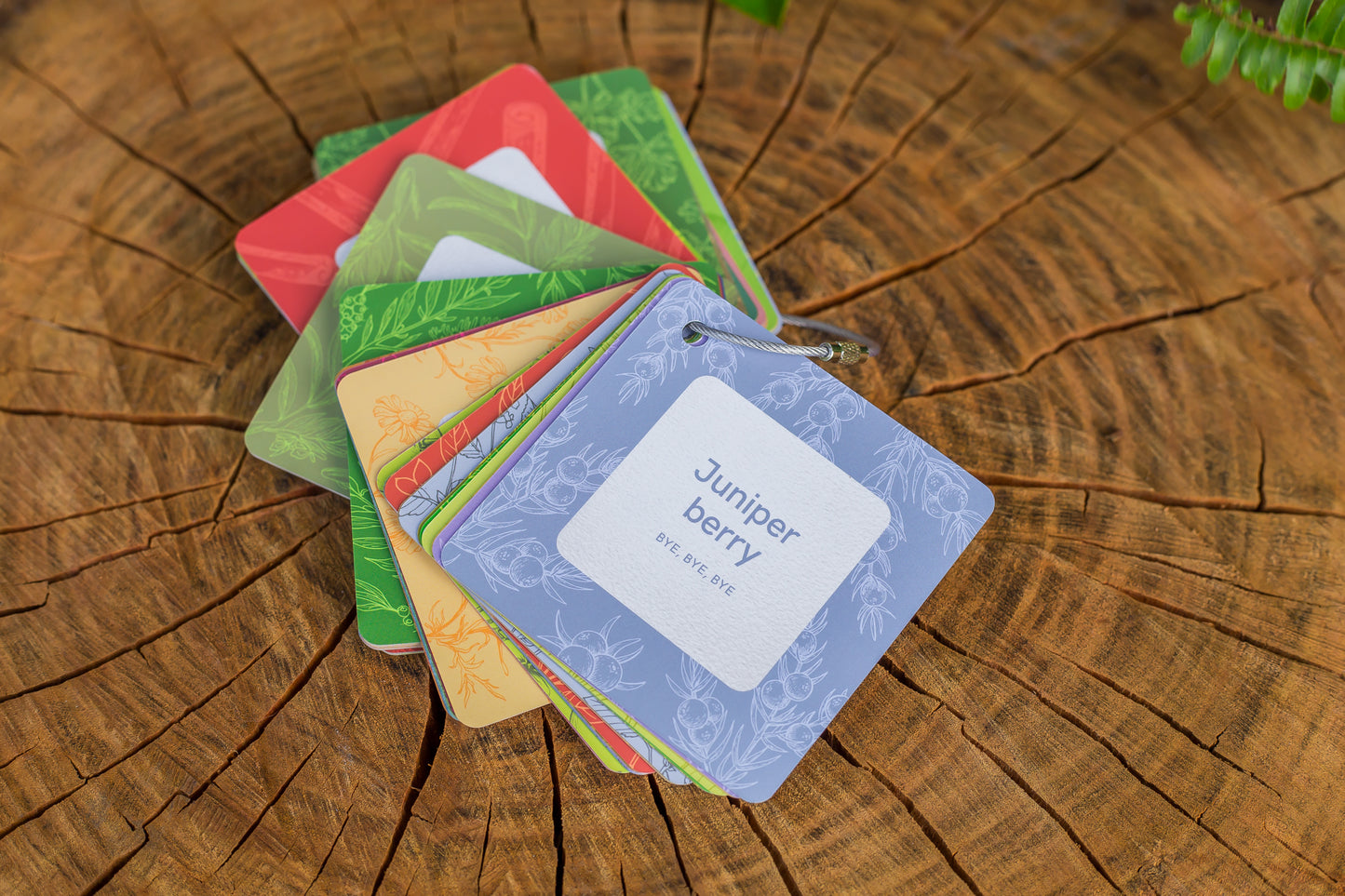 Essential Oil Wellness Cards