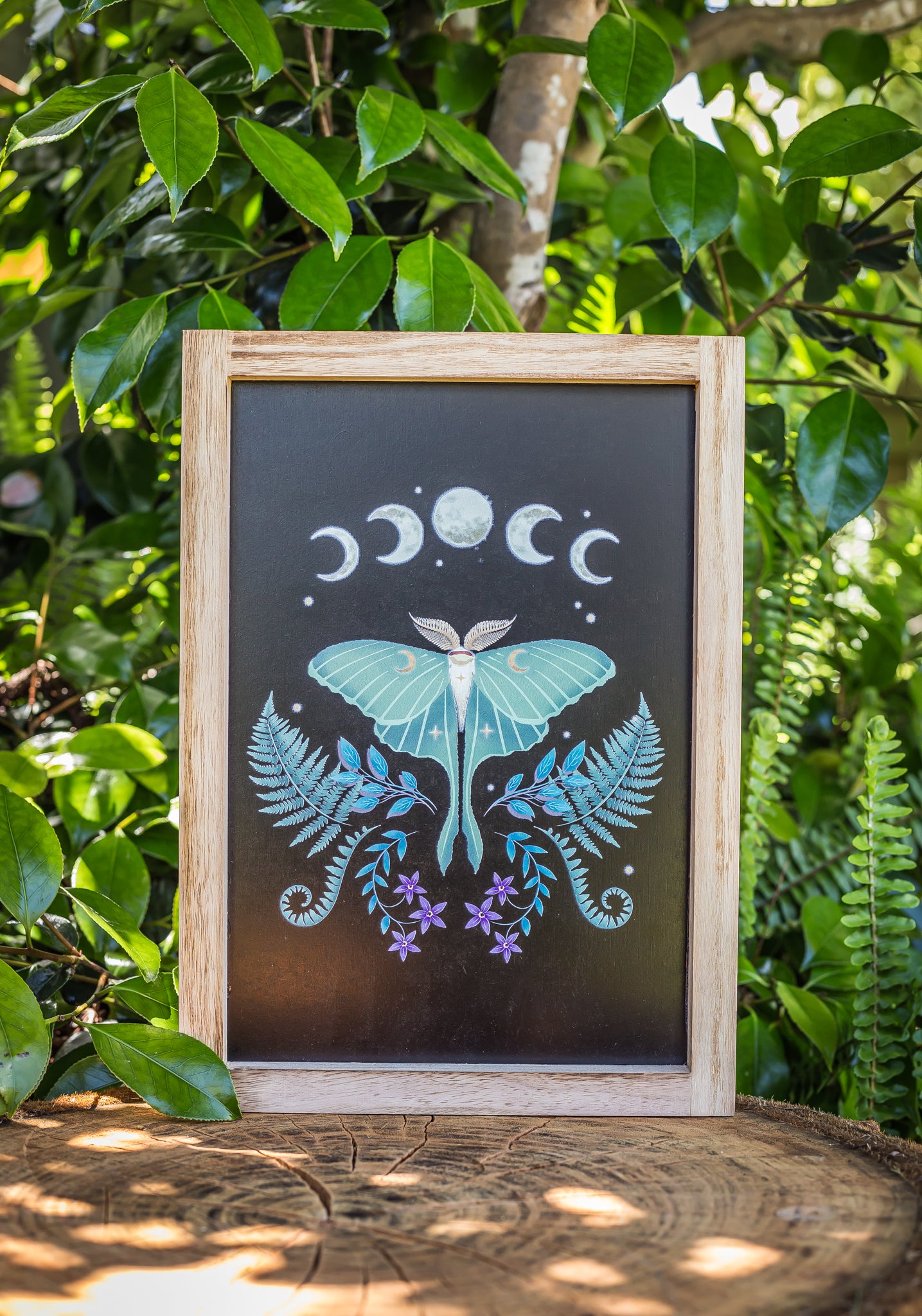 Luna Moth Wooden Framed Art